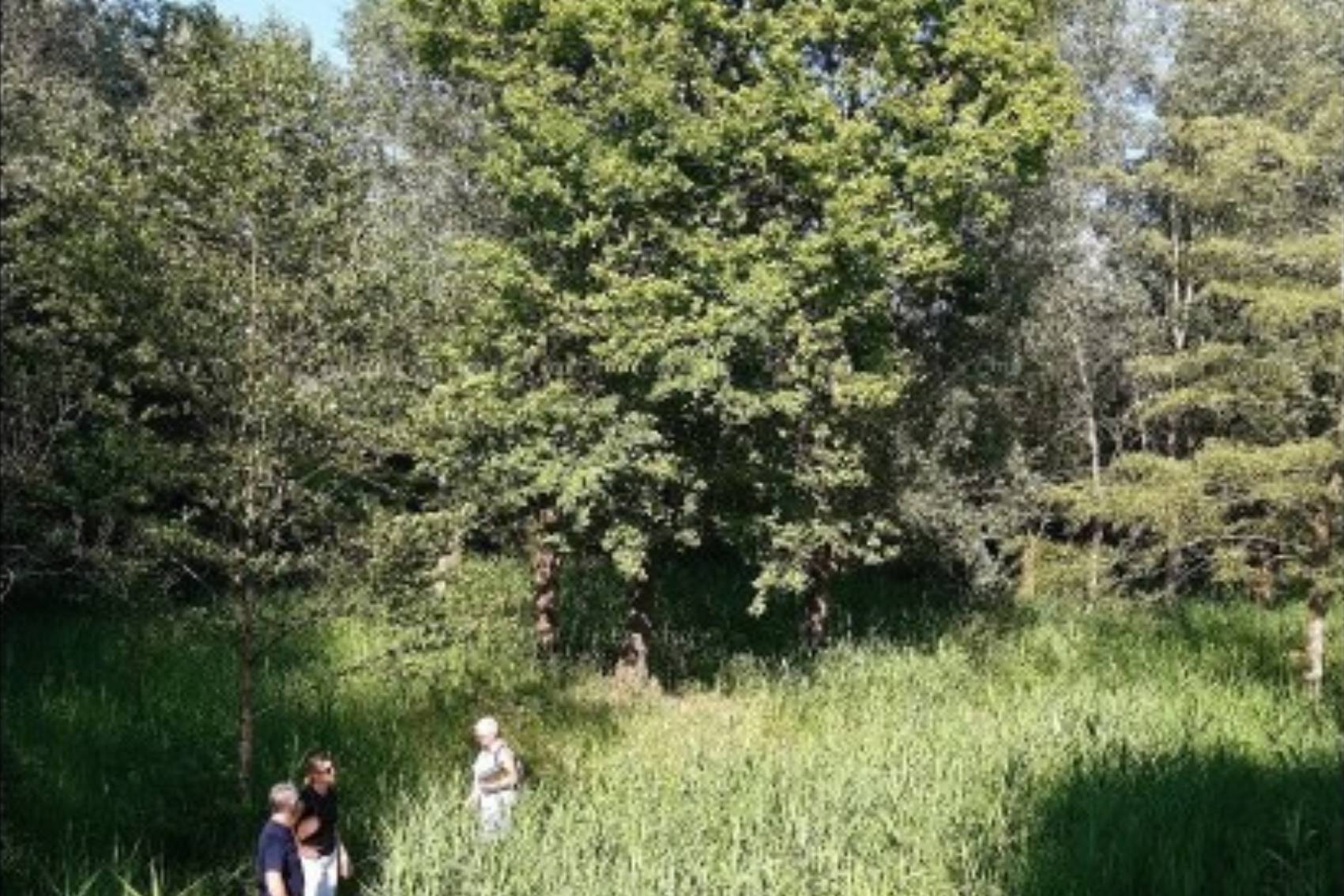 atelier enfant atelier de jean-marie Montigny-les-Metz atelier enfant atelier de jean-marie Montigny-les-Metz